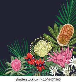 mixed australia native flowers border on dark navy background mixed australia native flowers border on dark navy background