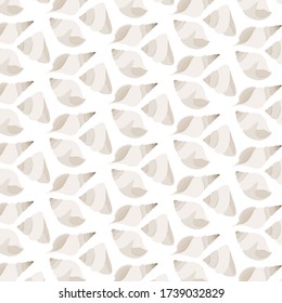 mixed beige seashells on beige background
