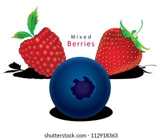 Mixed berries Raspberry, blueberry, strawberry vector