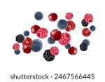 Mixed berries smoothies fruit splashing of Tropical fruits isolated on white background. Vector in 3D illustrations.
