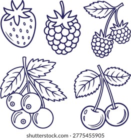 Mixed Berry Collection Vector Line Art Illustration with Strawberry Raspberry Cherry and Currant
