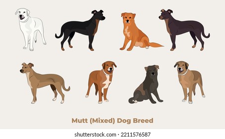 Mixed breed, dog mutt drawing. Cute dog characters in various poses, designs for prints adorable and cute mongrel cartoon vector set, in different poses. All popular colors. Terrier symbol.