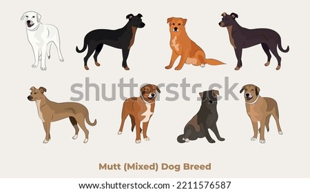 Mixed breed, dog mutt drawing. Cute dog characters in various poses, designs for prints adorable and cute mongrel cartoon vector set, in different poses. All popular colors. Terrier symbol. Сток-фото © 