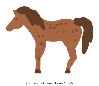 Mixed breed horse standing, vector illustration isolated on white background flat style. Lush mane brown horse with with dark spots on the body. Equine farm animal for horse riding or transportation