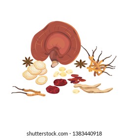 Mixed chinese herb, dry cordyceps , lotus seed, lingzhi, jujube, isolated on white background.