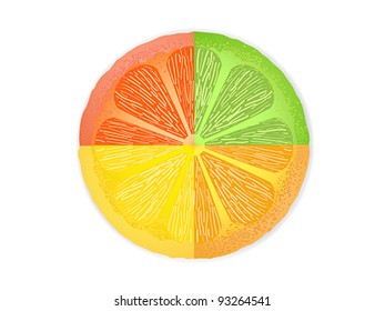 mixed citrus fruit slices