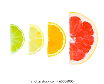 Mixed Citrus Fruit. Vector