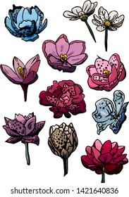 
Mixed color set, pink, red,
beige, white, violet, purple and blue flowers, cartoon style, daisies, crocuses, tulip, lotus, stickers, postcards, floristry, plants, isolated objects, vector flowers