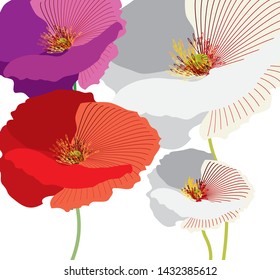Mixed colorful poppies in retro style