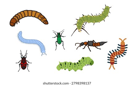 Mixed crawling insects and caterpillars collection isolated on white background, colorful garden beetles bugs and worms silhouette graphics pack, educational nature vectors layout