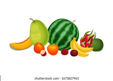 Mixed Exotic Fruits Arrangement or Composition Vector Illustration