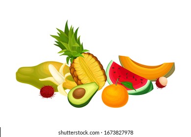 Mixed Exotic Fruits Arrangement Or Composition Vector Illustration