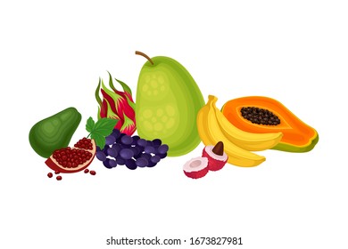 Mixed Exotic Fruits Arrangement or Composition Vector Illustration
