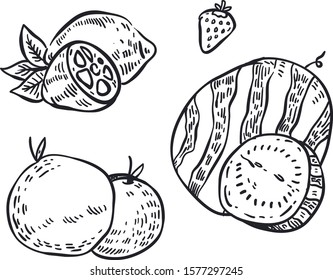 
Mixed Fruit doodle . Fruit vector illustration