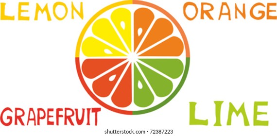 Mixed Fruit. Set of citrus fruit - lemon, orange, grapefruit and lime.