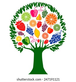 Mixed Fruits tree isolated on white background. Vector illustration