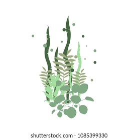 Mixed green leaves of tropical plants on white blackgroung. Vector illustration.