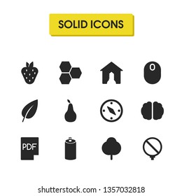 Mixed icons set with pdf, strawberry and tree elements. Set of mixed icons and drink concept. Editable vector elements for logo app UI design.