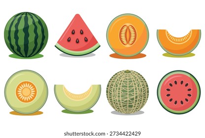 Mixed melon varieties collection, watermelon cantaloupe honeydew galia full and halved icons, supermarket signage, farmers market advertisement design vector