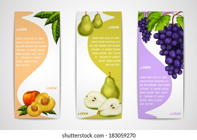 Mixed natural organic sweet fruits vertical banners collection of pear peach and grapes for cafe dessert menu design template vector illustration