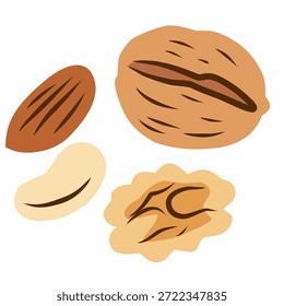 Mixed Nuts in Flat Illustration Style for Healthy Snack Design