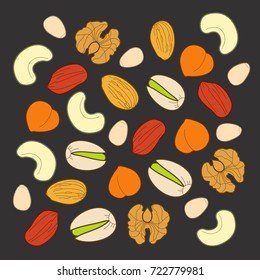 Mixed nuts. Vector
