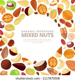 Mixed nuts vector white frame background. Cartoon flat illustration. Design elements for packaging or label.