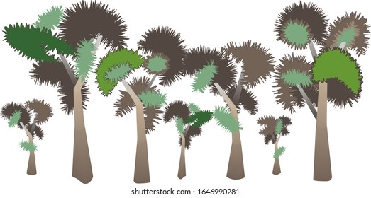 mixed  pattern of fantasy trees in tropical forest or seaside