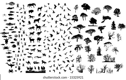 Mixed silhouettes set birds mamals fishes trees insects reptiles