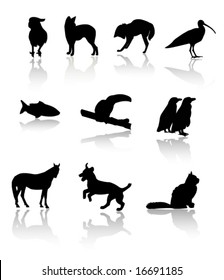 Mixed silhouettes set wild and domesticated mamals