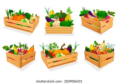 Mixed vegetable assortment in wooden boxes, set
