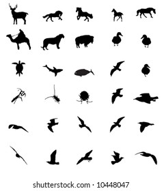 Mixed wild animal silhouettes set