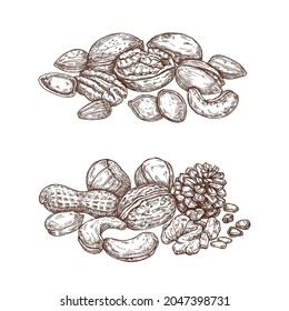 Conjunto de mezclas para tuercas. Esbozo aislado de almendras, avellanas, nueces, cacahuetes, coco, nueces y piñones. Colección monocroma de alimentos naturales sanos. Ilustración vectorial de tentempiés de dieta vegetariana.
