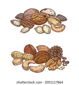 Mixing set for nuts. Isolated sketch of almonds, hazelnuts, walnuts, peanuts, coconut, cashews and pine nuts. Colored collection of natural healthy food. Vegetarian diet snacks vector illustration.