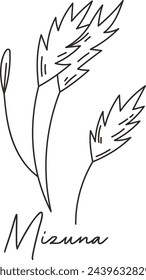 Mizuna Micro Greens Sketch ilustración vectorial