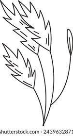 Mizuna Micro Greens Sketch ilustración vectorial