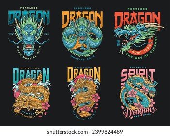 MMA dragon set flyers colorful chinese authentic kite with water splashes and flowers near mixed martial arts slogans vector illustration