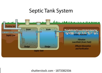 Mobile Home Septic System And Drain Field Scheme. Underground Septic System Diagram. Typical Household Septic Tank. External Network Of Private Home Sewage Treatment System. Stock Vector Illustration