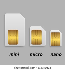 Mobile sim card types set in vector