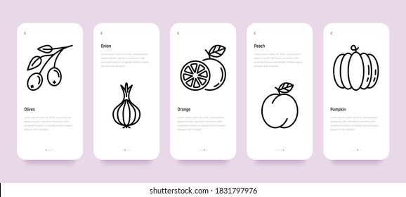 Interfaz de usuario móvil con frutos: aceitunas, cebolla, naranja, melocotón, calabaza. Iconos de línea delgada. Alimentos veganos sanos. Ilustración vectorial, plantilla, con espacio de copia.