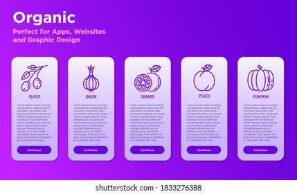 Mobile user interfcace with fruits and vegetables: olives, onion, orange, peach, pumpkin. Thin line icons. Healthy vegan food. Vector illustration, template, with copy space.