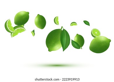 MobileFlying fresh limes and lime slices with leaves. Vector realistic illustration on white
