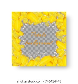 Mock background with flying petals of blooming tulips on a transparent background