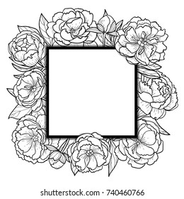 Mock up with peony flowers, leaves and squared frame. Floral romantic black and white template for greeting cards, invitations, postcards and coloring pages with text place.