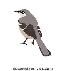 mockingbird vector design for graphic 