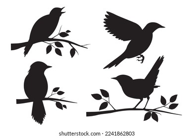 Mockingbird vector illustration. Nightingale vector. The nightingale perched on a tree branch. Clever bird. Insect chasing bird