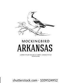 Mockingbird Vintage Logo. Arkansas State Bird