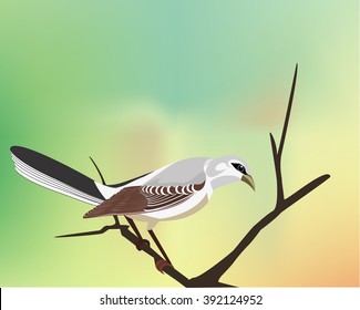 Mockingbird ,
Mockingbird Waiting For  Another Birds,         All elements are in separate layers co lour can be changed easily.     

