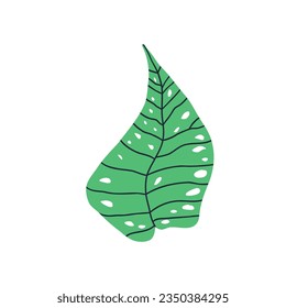 mockster leaf in flat style. hand drawn vector illustration