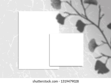 Mock-up with blank paper background card with ginkgo leaves branch shadow on marble surface. Mock up scene creator Styled banner social media. branding design. Space for text Feminine greeting desktop